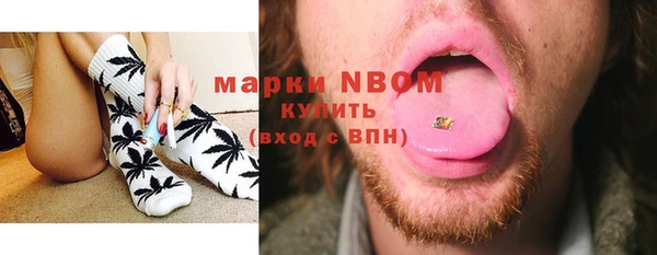 ГАЛЛЮЦИНОГЕННЫЕ ГРИБЫ Гусь-Хрустальный
