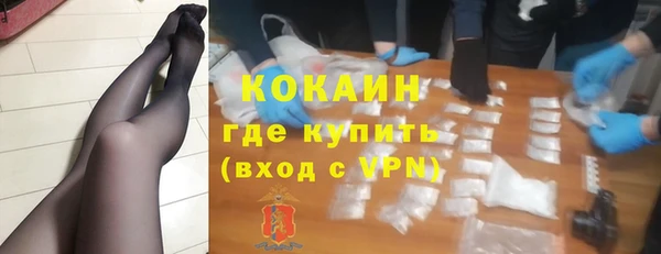 ПСИЛОЦИБИНОВЫЕ ГРИБЫ Горняк