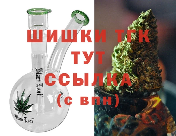 гидра Гусиноозёрск