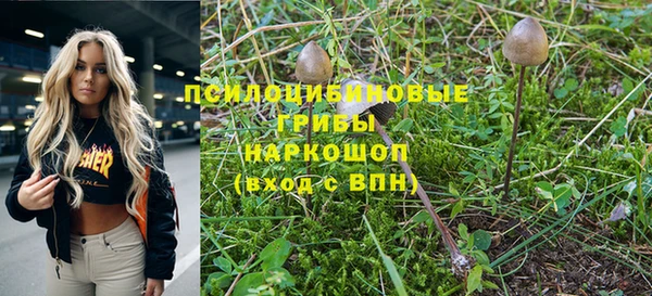 кокс Горнозаводск