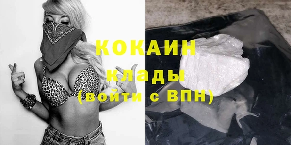 ГАЛЛЮЦИНОГЕННЫЕ ГРИБЫ Гусь-Хрустальный