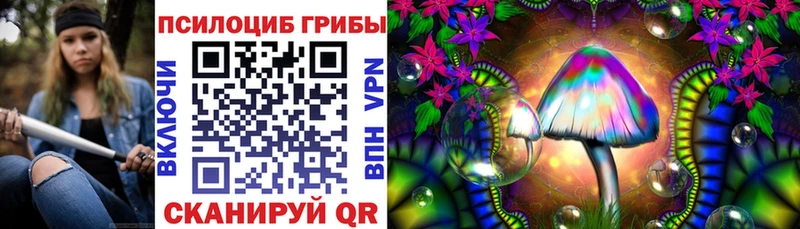 Галлюциногенные грибы Psilocybine cubensis  Бодайбо 